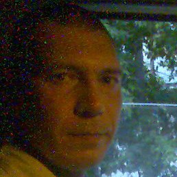 ������, ������, 50 ���