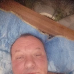 ���� �������, ����������, 51 ��� - ��������� 16 ������ 2024