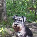 ���� �����, �����-���������, 56 ��� - ��������� 21 ����� 2024 � ������ ���� ����������