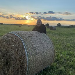 Roman, �����, 44 ����
