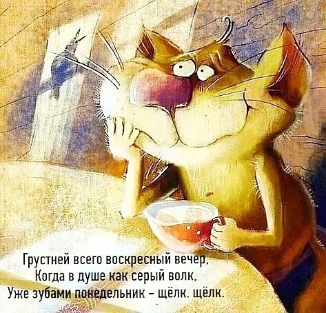 - 5  2025  00:55