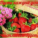  , --, 64  -  13  2024    