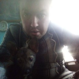 �����, ���������, 33 ����