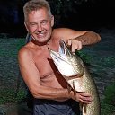  ,  , 50  -  29  2025    