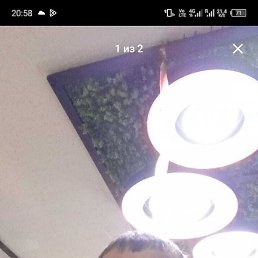 ����, ������, 44 ����