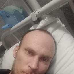 �������, ������, 41 ���