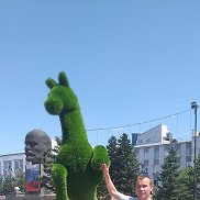 ���������, 38 ���, �����������