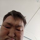  , , 51  -  16  2025    