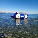 ���� ������, �����������, 42 ���� - ��������� 6 ������ 2025 � ������ ������ ��������