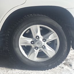 ������, ����, 65 ���