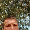 ���� �������, �������, 44 ���� - ��������� 27 �������� 2025 � ������ ���� ����������