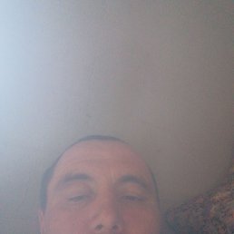 ������� ������������, 41 ���, ���������