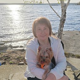 ���� ��������, ��������, 53 ���� - ��������� 17 ������ 2023