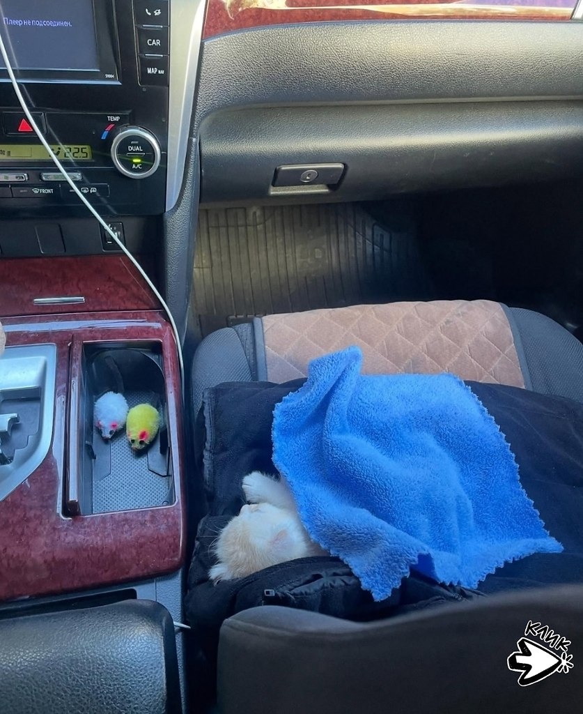 ����� � ������ ��������� ���� � ����� � ������� ���