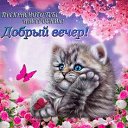 ���� �������, ������, 45 ��� - ��������� 2 ����� 2026 � ������ ������ ��������