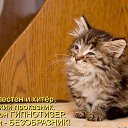 ���� Anjex, ���������� - ��������� 21 ������ 2025 � ������ ���� ����������