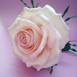 ��������, ����