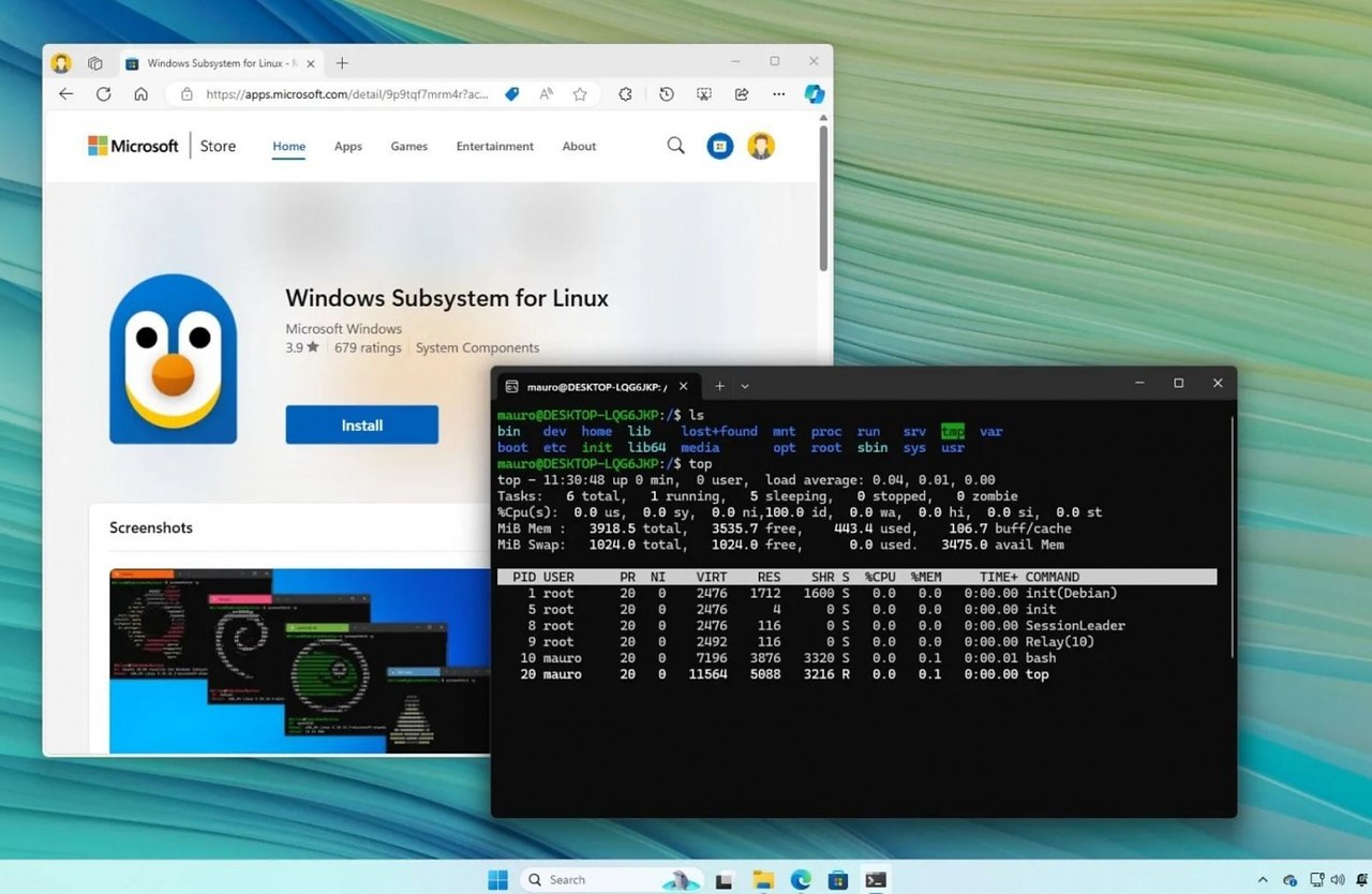 ���� ����� ������ ����������� Linux, �� �� ������ ���������� ��������� � ���� �������� �������, ...