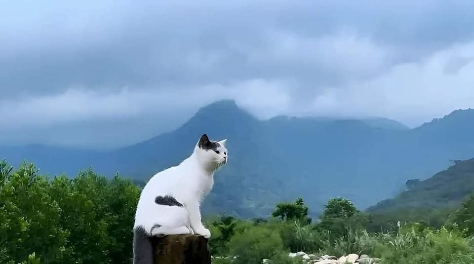 =»>.Если с другом вышел в путь, Веселей дорога! - 4