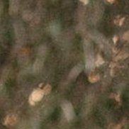 ������, 46 ���, ������