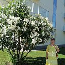 ���� �����, ��������, 56 ��� - ��������� 4 ���� 2024 � ������ ���� ����������