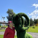 ���� ������, �������, 56 ��� - ��������� 11 ������� 2025