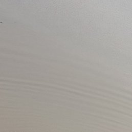 �������, �������, 43 ����