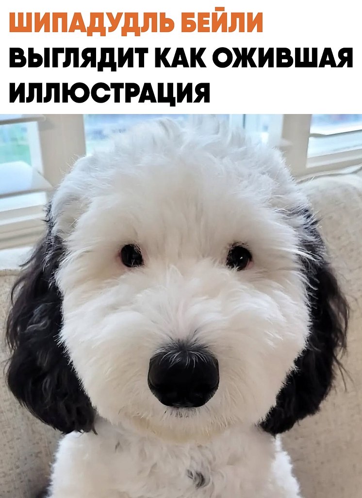 ����� � ���������, ������� �� ��������� ������� �����. Ÿ ������ ����������� ��������, ������� ...