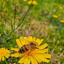 ���� Alpha, ������ - ��������� 21 �������� 2024 � ������ ��������� �����. �� �������� �������.�