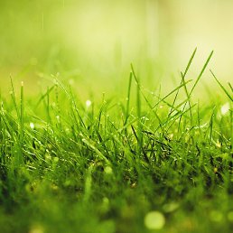 ���� �����, ���������, 25 ��� - ��������� 5 ������ 2023