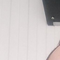 ���������, ������������, 40 ���