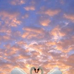 ���� �������, ������, 48 ���