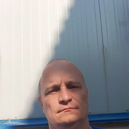 , 37 , 