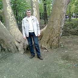 ���������, �����������, 66 ���