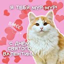 ���� �����, �����, 50 ��� - ��������� 15 ������� 2024 � ������ ���� ����������