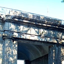 ���������, 41 ���, ������