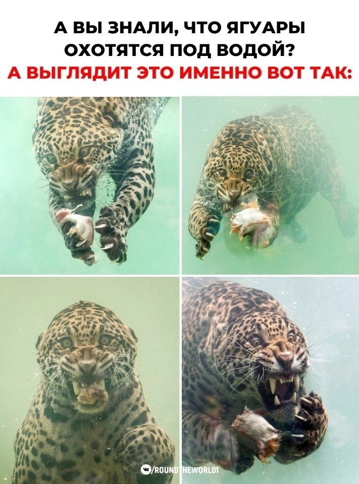  ,  .