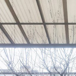 �������, ���������, 47 ���