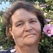 ������, 43 ����, ���������