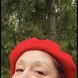 ���� ������, �����-���������, 66 ��� - ��������� 15 ������� 2026