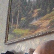 Victor, 64 ����, �����-���������