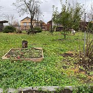 ������� ��������, 60 ���, ������