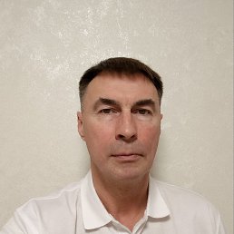 �����, 41 ���, �����