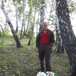 ���� �������, 50 ���, ������