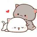 ���� �������, ������, 43 ���� - ��������� 23 ������� 2025 � ������ ���� ����������