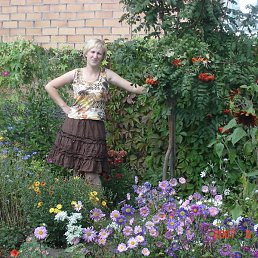 �������, ���������, 47 ���