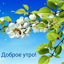 ���� ������, �������� - ��������� 8 ������� 2026 � ������ ������ ��������