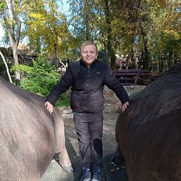 ������, ������, 50 ���