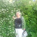 ���� ������, ������, 59 ��� - ��������� 19 ������ 2026 � ������ ���� ����������