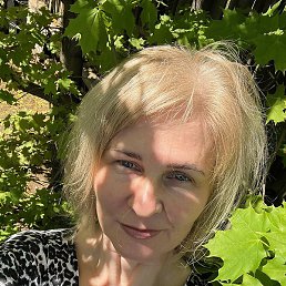 ����, ������������, 56 ���